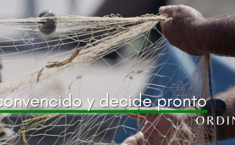 LECTIO DIVINA – DOMINGO 3º  TO –Ciclo A